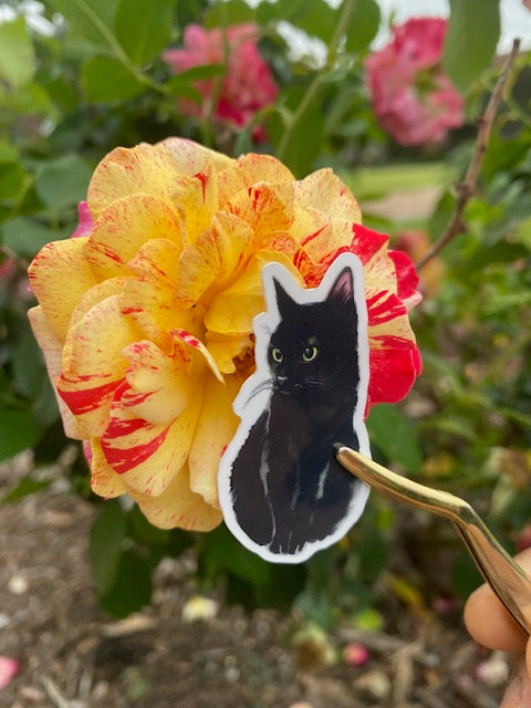 Black Cat Sticker Flake/Sprinkle Vinyl sticker- Waterproof & UV Protected